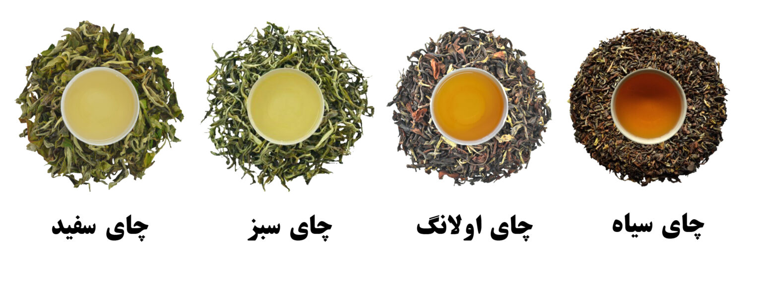 انواع چای